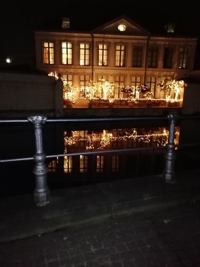 Mooie zwaantjes Brugge Appartement Buitenkant foto