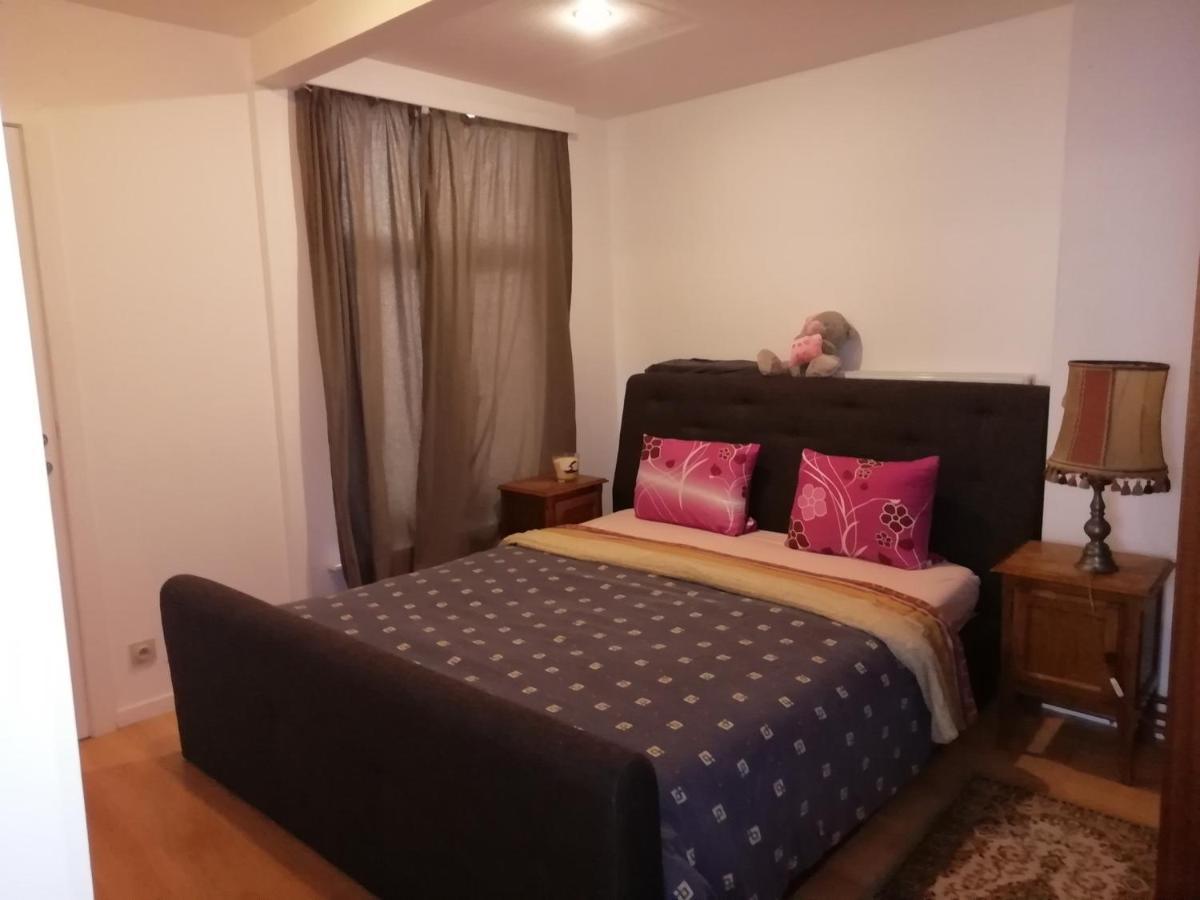 Mooie zwaantjes Brugge Appartement Buitenkant foto