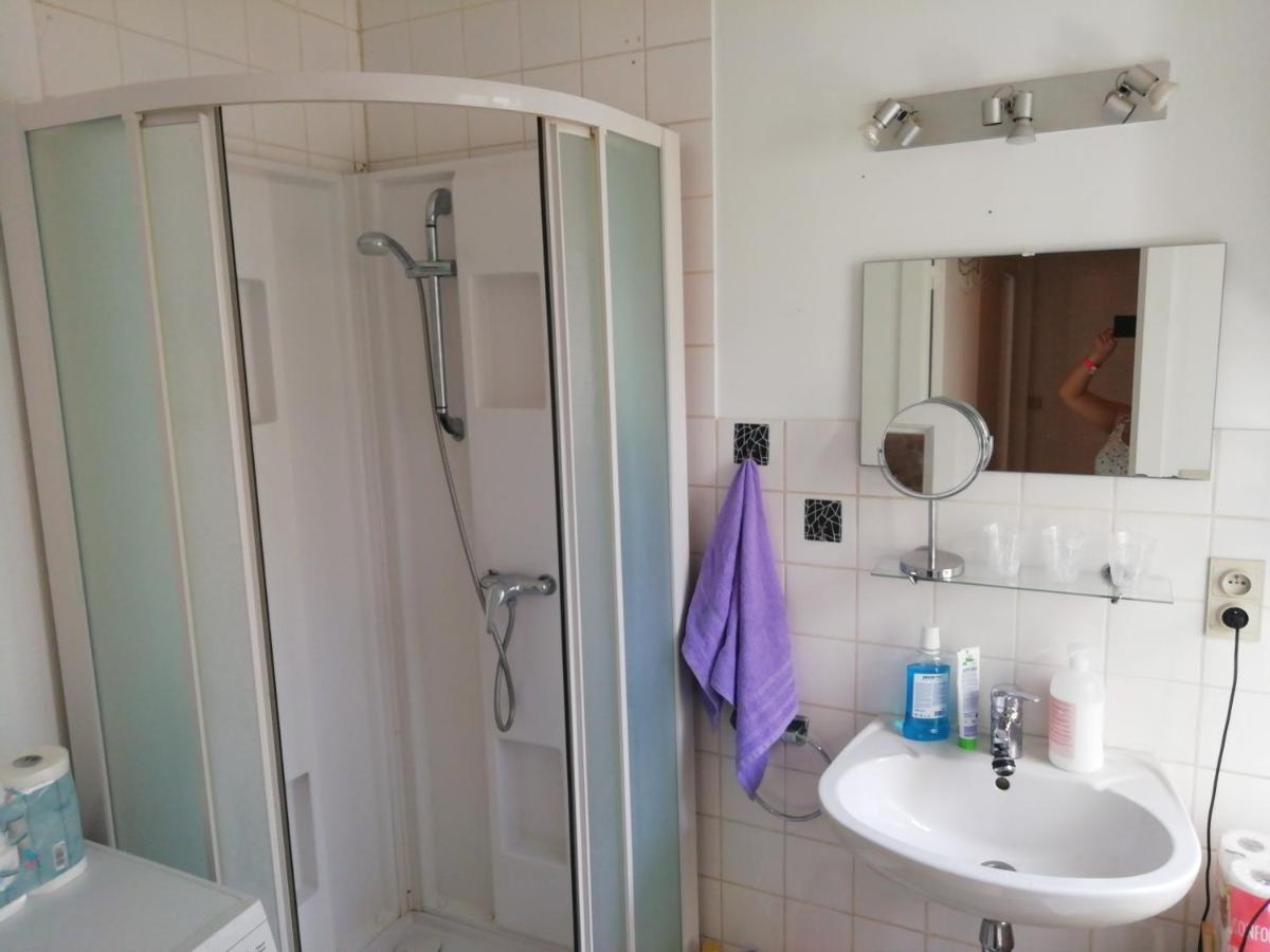 Mooie zwaantjes Brugge Appartement Buitenkant foto