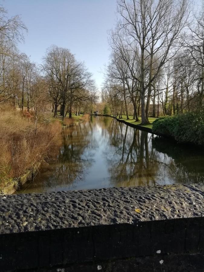 Mooie zwaantjes Brugge Appartement Buitenkant foto